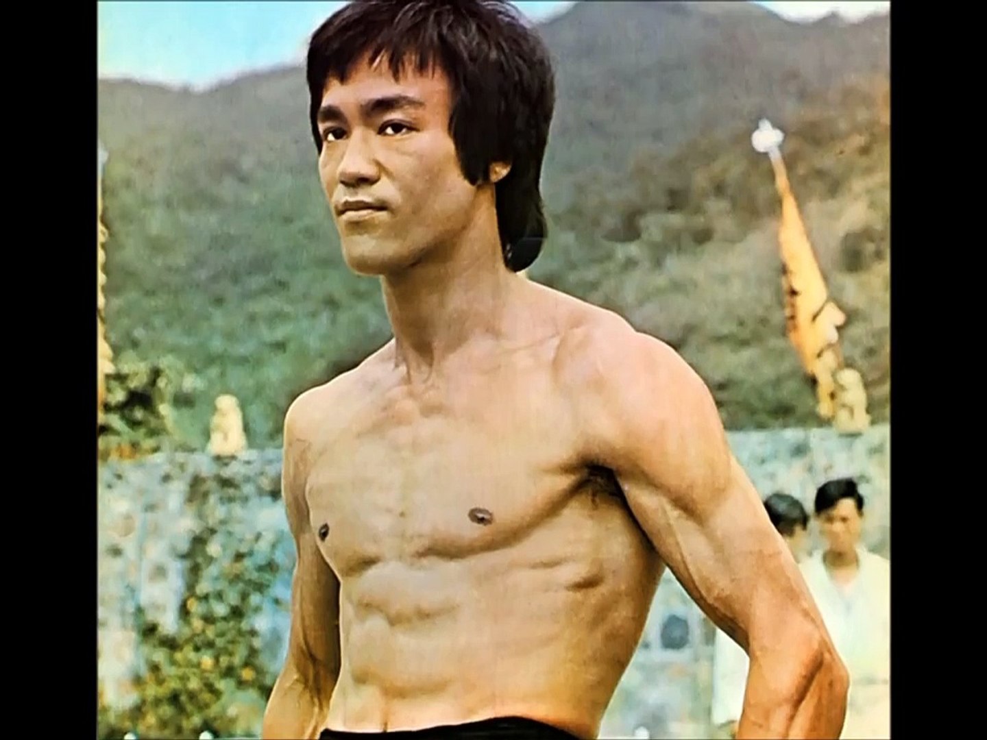 enter the dragon dailymotion