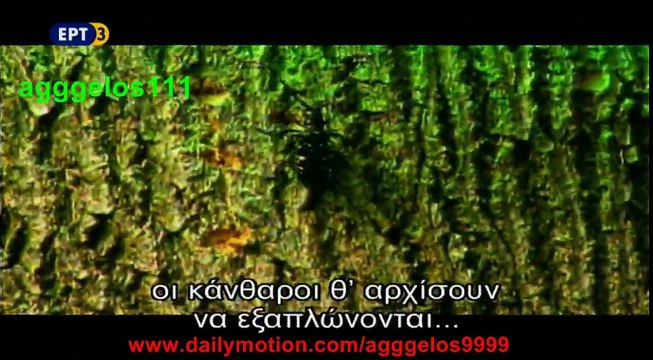 Η ΖΩΗ ΜΕΤΑ ΤΟΝ ΑΝΘΡΩΠΟ “Οι εισβολείς” (Επεισόδιο 5)