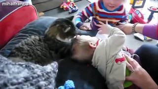 Ultimate Cats Love Babies Compilation 2014 [NEW]