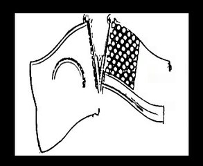 BD Jokes - বাংলাদেশ বনাম আমেরিকা