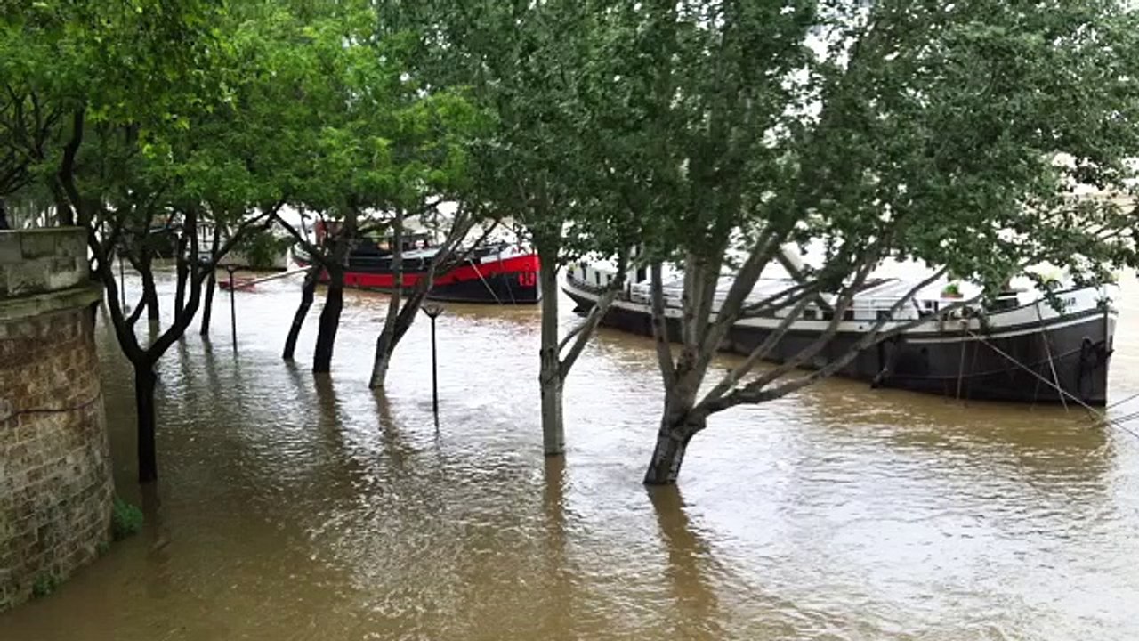 La Seine en crue à Paris