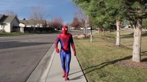 Spiderman and friends The Amazing Spider-Man in real life, your unfriendly neighbor Spiderman
