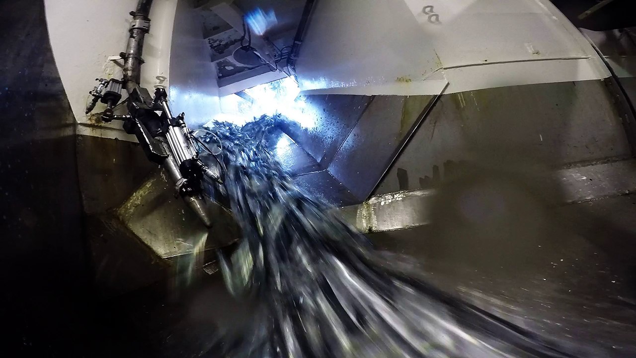Inside the herring catch