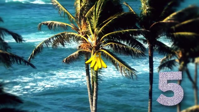 THE TEN BANANAS SONG FUNKY, FRUITY COUNTING FROM 1 TO 10 | NURSERY RHYME | PONKEYBOX