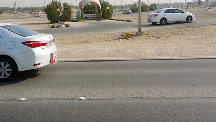 Bahrain driving test reverse gear