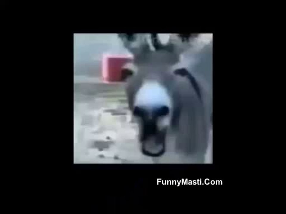 Desi Bath