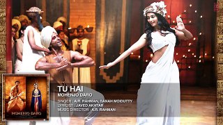 _TU HAI_ Full Song (Audio) _ MOHENJO DARO _ Hrithik Roshan, Pooja Hegde
