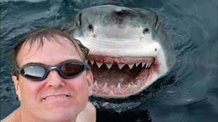 25 Most Dangerous Selfies Ever!-25 best selfies collection-best selfies