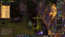 [4K] Little Flower Pot in Dalaran : Herblism : Dalaran : WOW Legion Beta