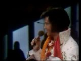 elvis: whole lotta shakin Quel est-ce qu'est meilleur ?