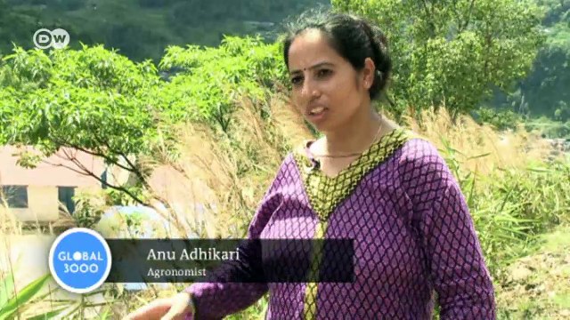 Nepal: Fighting erosion with broom grass | Global 3000