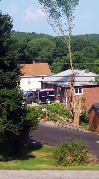 Il n'aurait jamais dû élaguer cet arbre sans harnais de sécurité