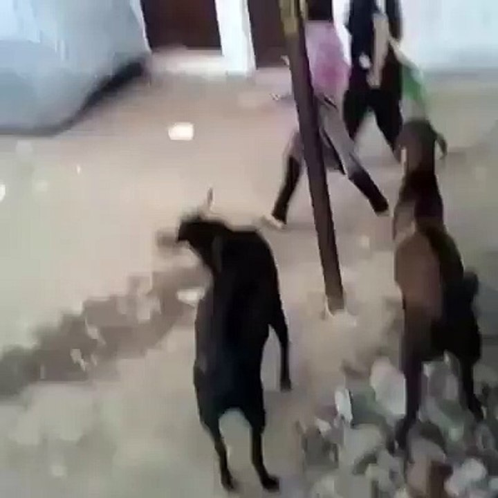 یے کیا ہو گیا. هاههههههههههههه