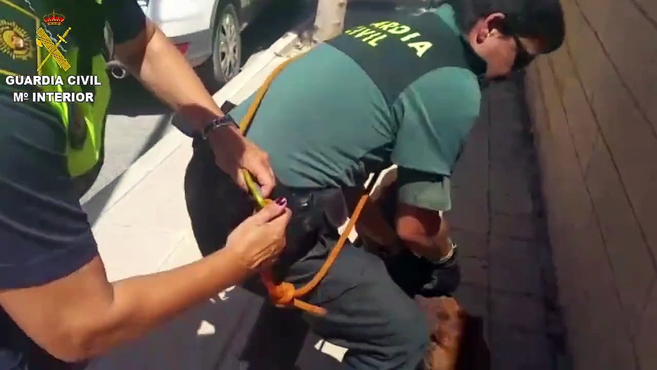 Ce policier sauve un chien enfermer dans une voiture en pleine soleil