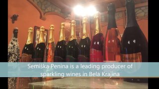 BIG BERRY visit to Simonič Sparkling Winery