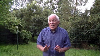 Le chat, la belette et le petit lapin