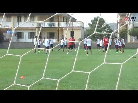 Secondo giorno di allenamento per gli squali