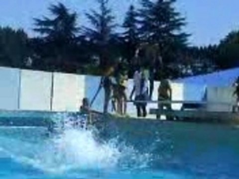 plongeon piscine de renault chakib