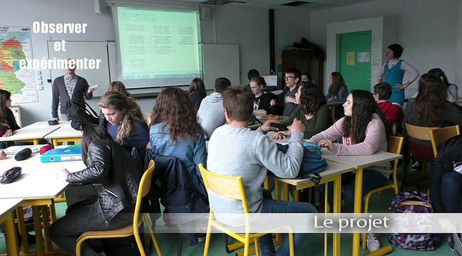 CARDIE Caen - Co-intervention en Maths en classe de Seconde