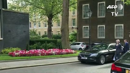 Theresa May arrives for Cameron's last cabinet meeting