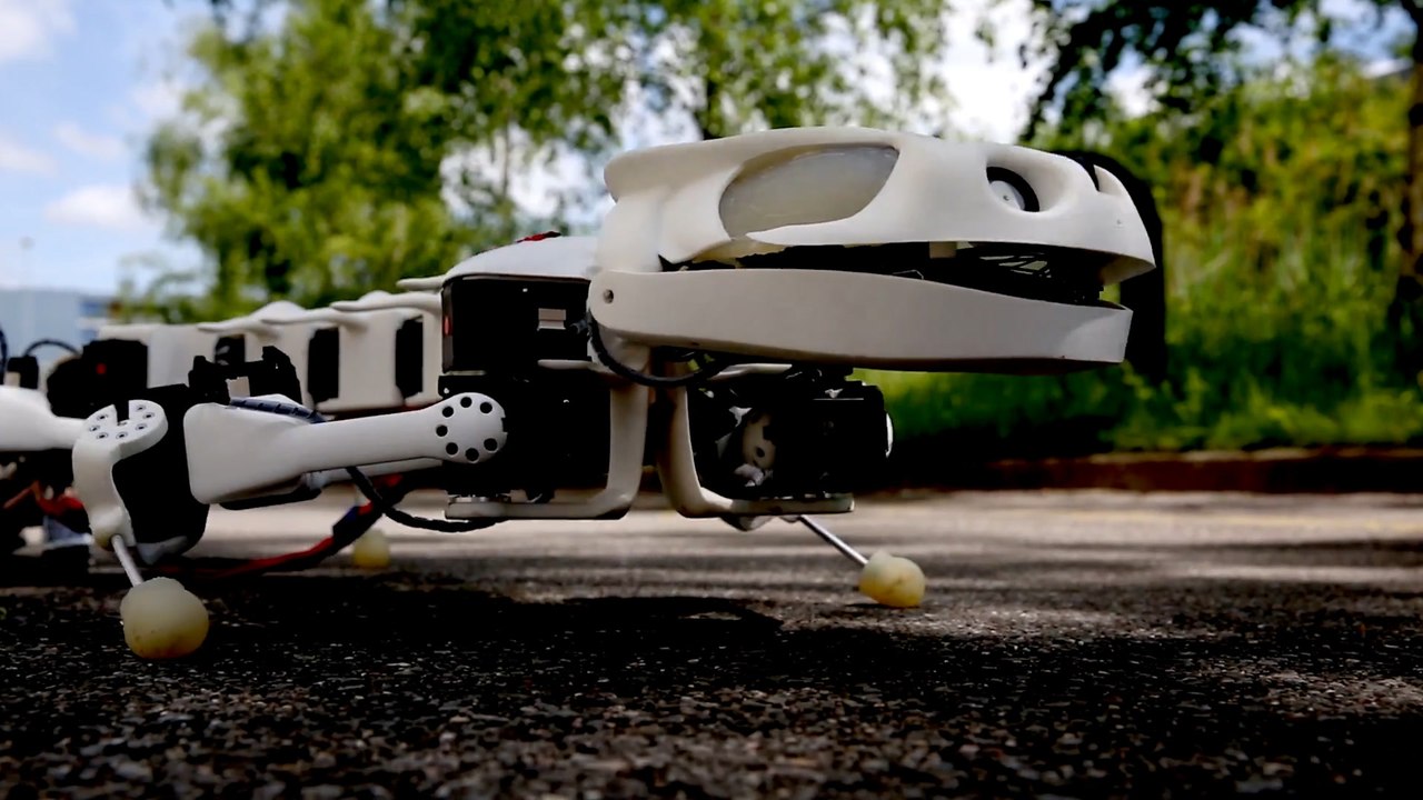 This salamander robot is teaching scientists mo...
