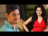 Parineeti Chopra Bags Mahesh Babu Film With A R Murugadoss !