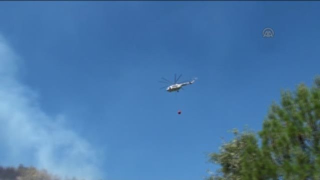 Alanya'da Orman Yangını - Antalya