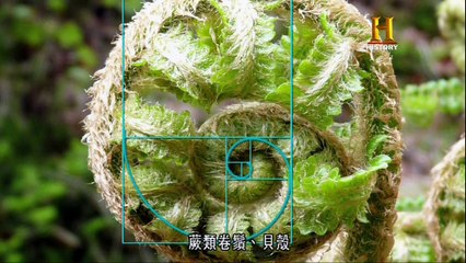 數學不思議 時間