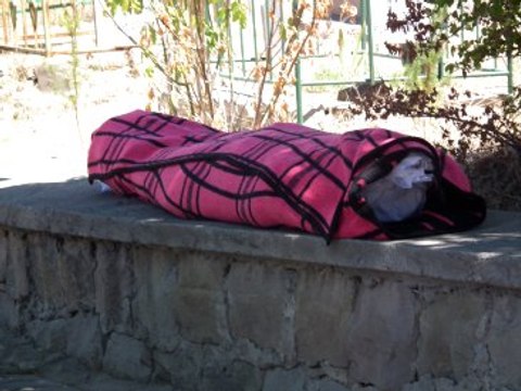 3 Polisi Şehit Eden Uzman Çavuşun Oğlunun Naaşını Camiye Sokmadılar