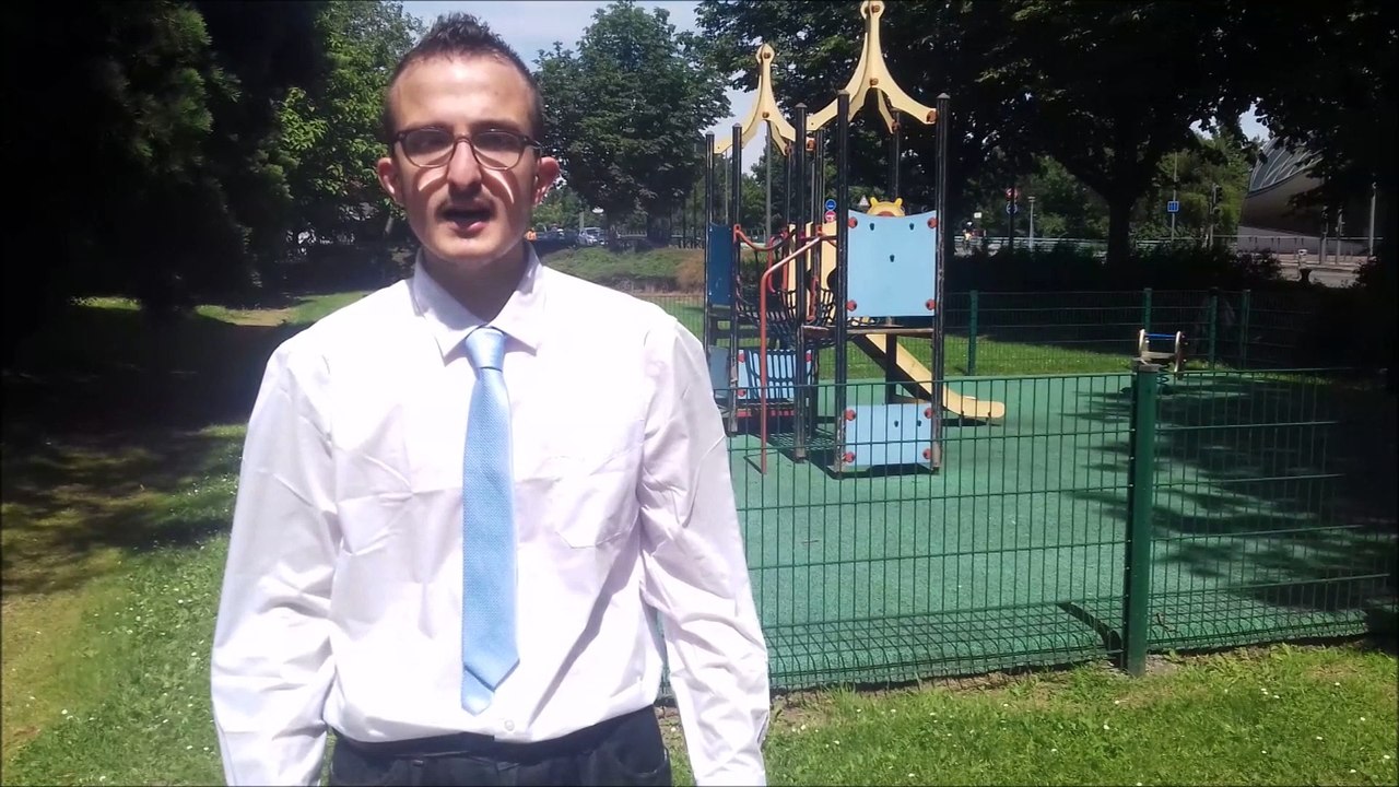 Afrique des flamants  CORTÈGE DE GAYANT DE DOUAI