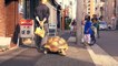 Cette tortue fait sa promenade en ville !