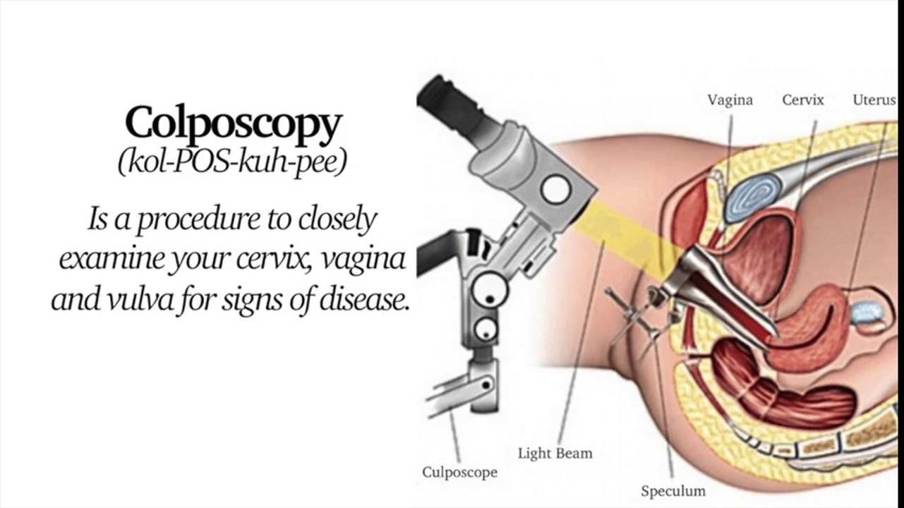 Personal health record- Female Reproductive Anatomy and medical records electronic 4