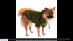 All Weather Dog Coats Blog Aberdeen, United Kingdom