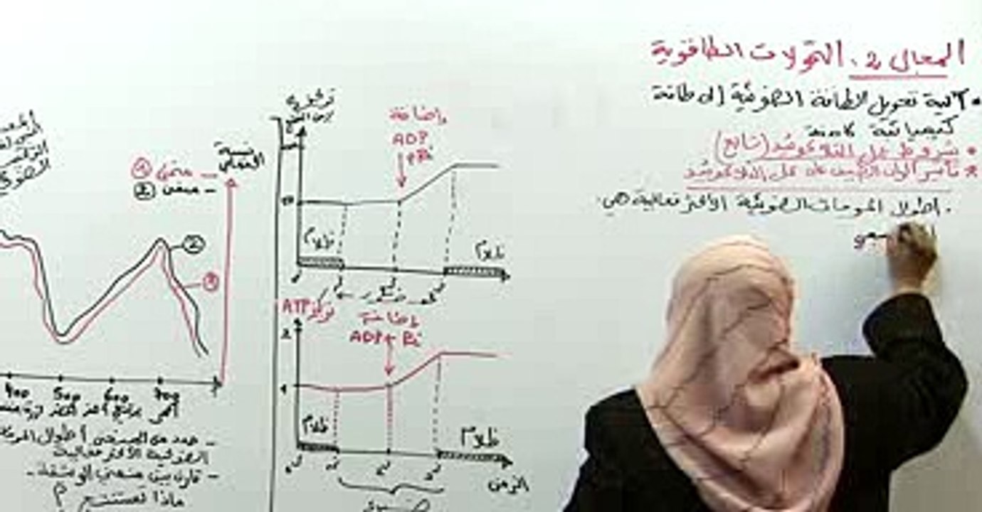 تفاعلات المرحلة الكيميوضوئية 4