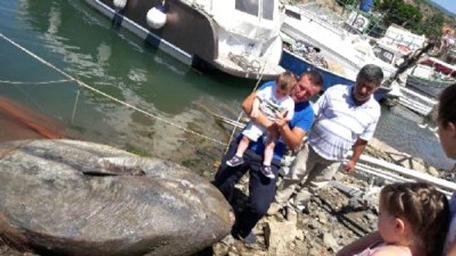 Gemlik'te Balıkçılar Ay Balığı Yakaladı