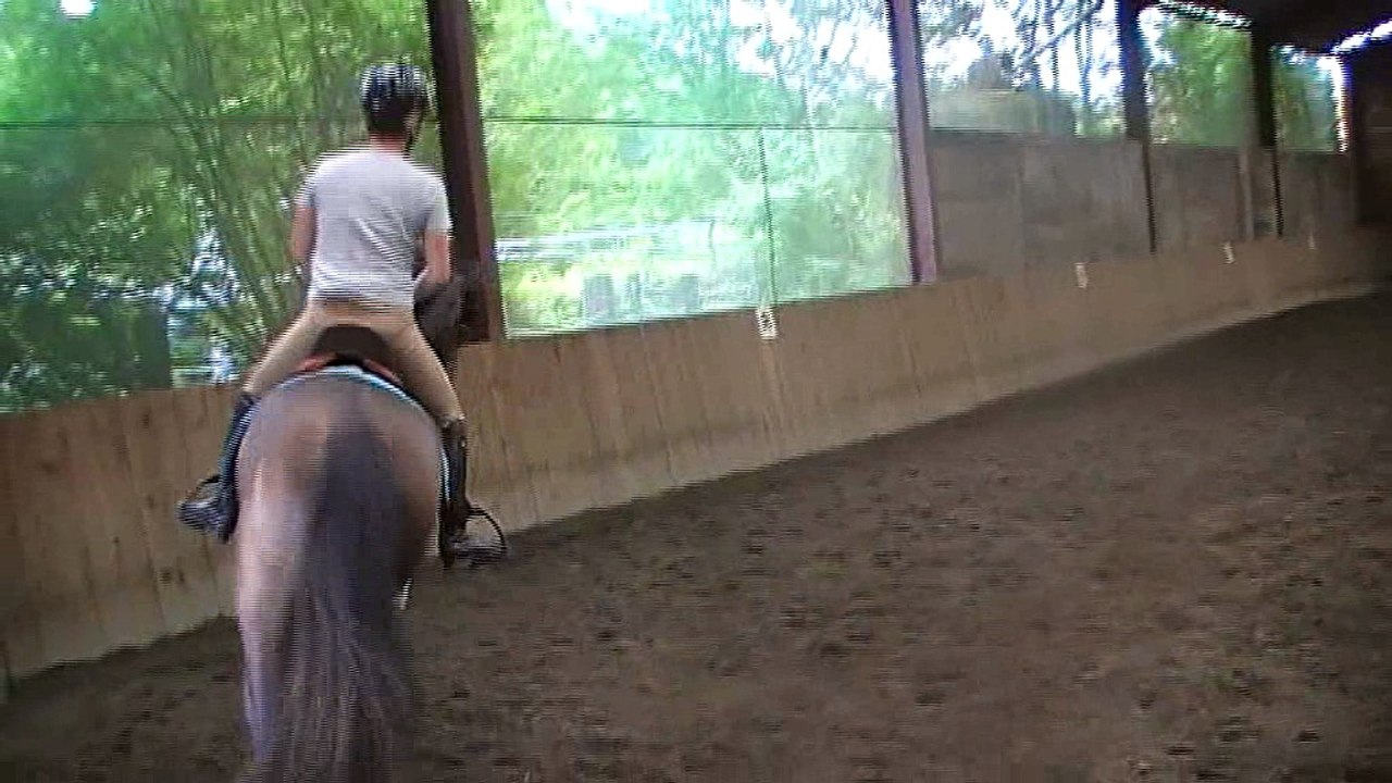 Galop, 4 mois après le débourrage