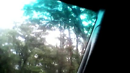 Day 1 Of Our Vacation To Bear Creek Country Part 2