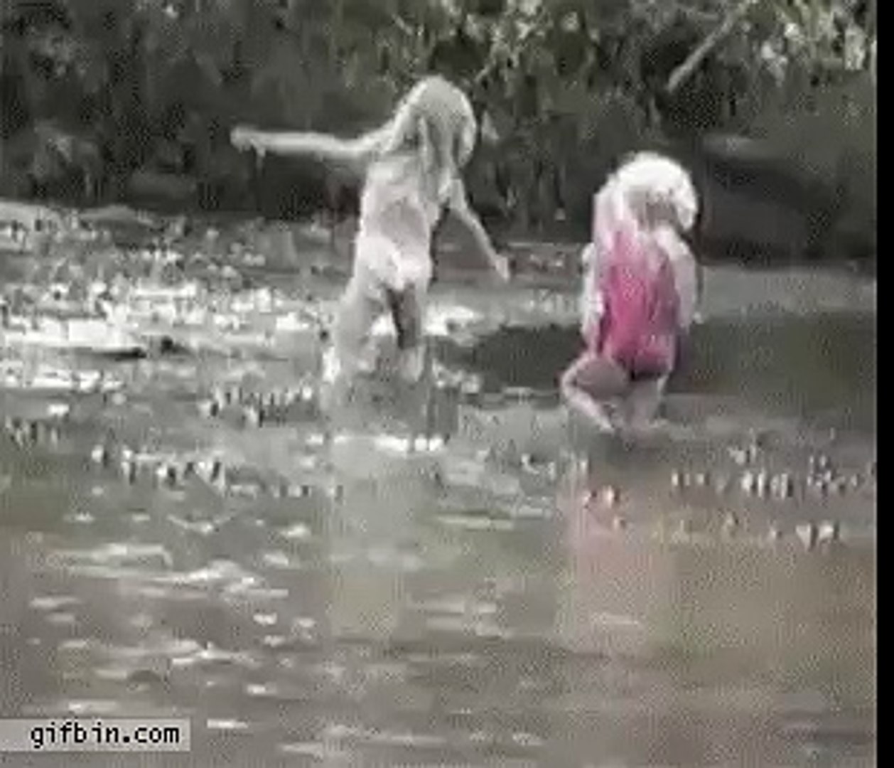 ⁣пока папа разматывал удочки fish