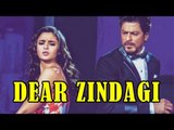Dear Zindagi 2016 | Shah Rukh Khan & Alia Bhatt | Dir. Gauri Shinde