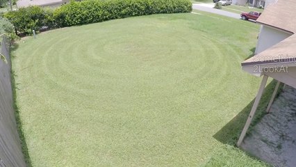 REVEALED: The Truth Behind Crop Circles