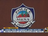 Crisis team to handle 'lone wolves' in Mesa