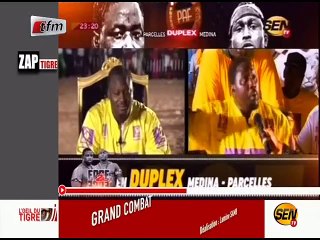 Le Zap tigre - l'oeil du tigre 12 juillet 2016