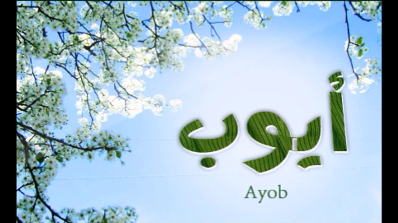 شرح دعاء أيوب عليه السلام للشيخ حسين عامر