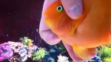 ПОДБОРКА ПРИКОЛОВ BEST COMEDY #143