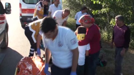 Düğüne Gidenleri Taşıyan Minibüs Devrildi: 11 Yaralı