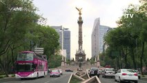 México sembará millones de árboles para combatir contaminación