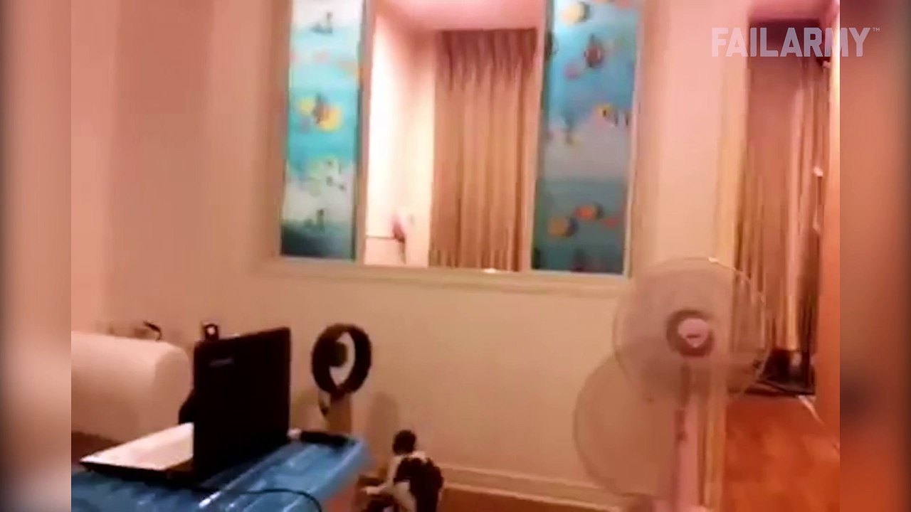 Funny Cat Fails Compilation