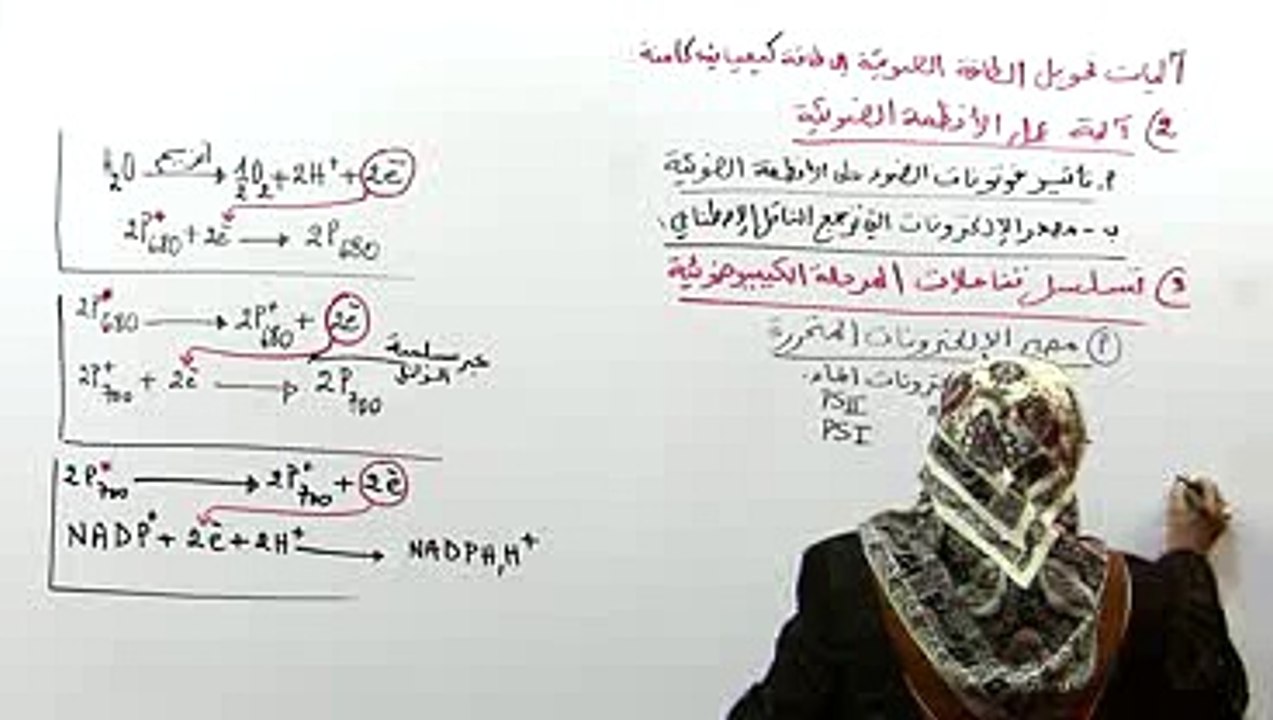 تسلسل تفاعلات المرحلة الكيميوضوئية 1