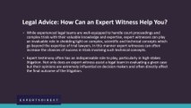 Legal Advice: How Can an Expert Witness Help You?