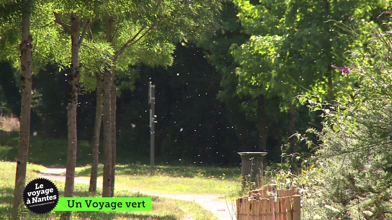 Le Voyage à Nantes : un voyage vert